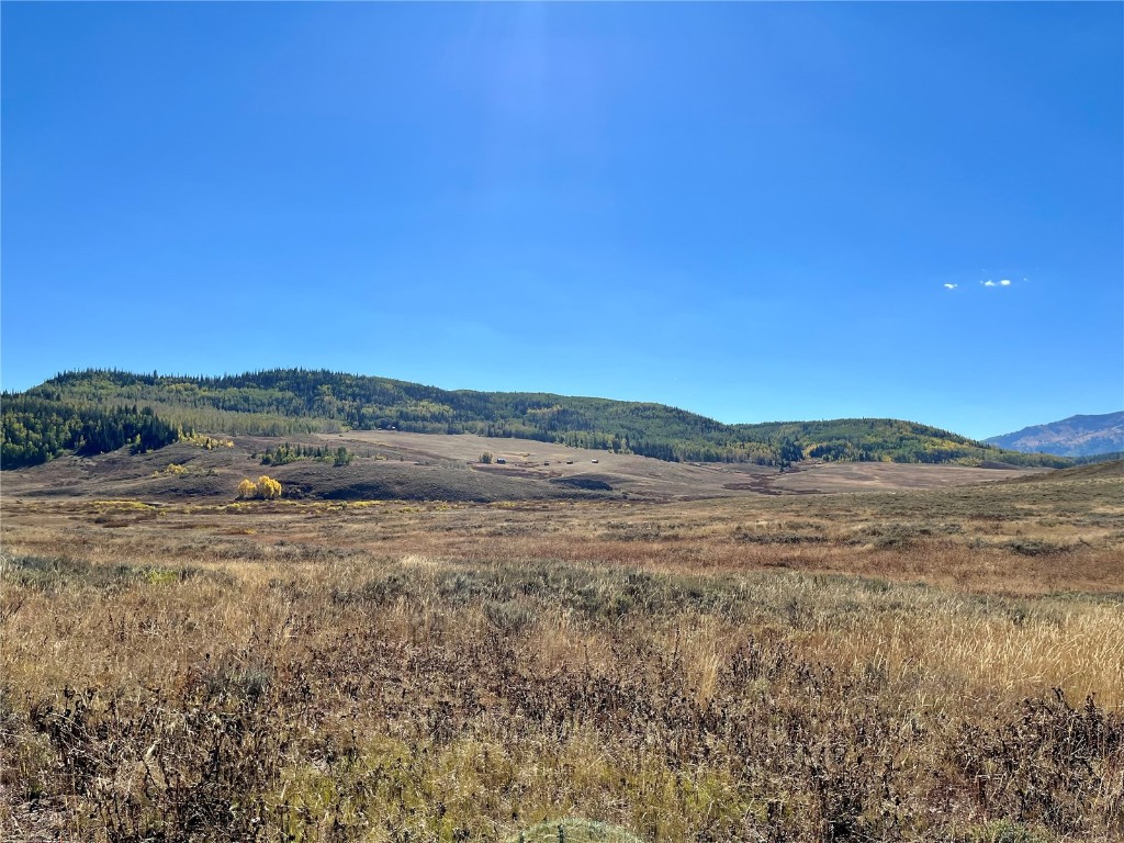 Tbd Cr 129 Property Photo 13