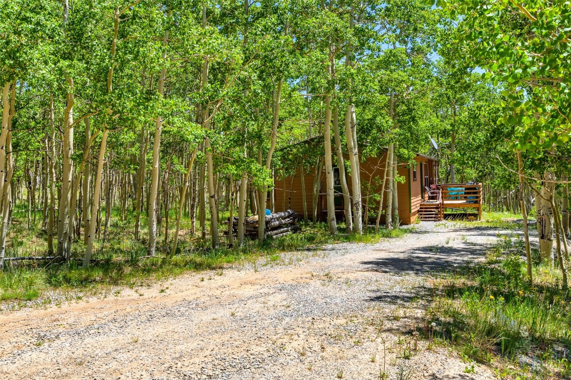 2346 High Creek Road Property Photo 22
