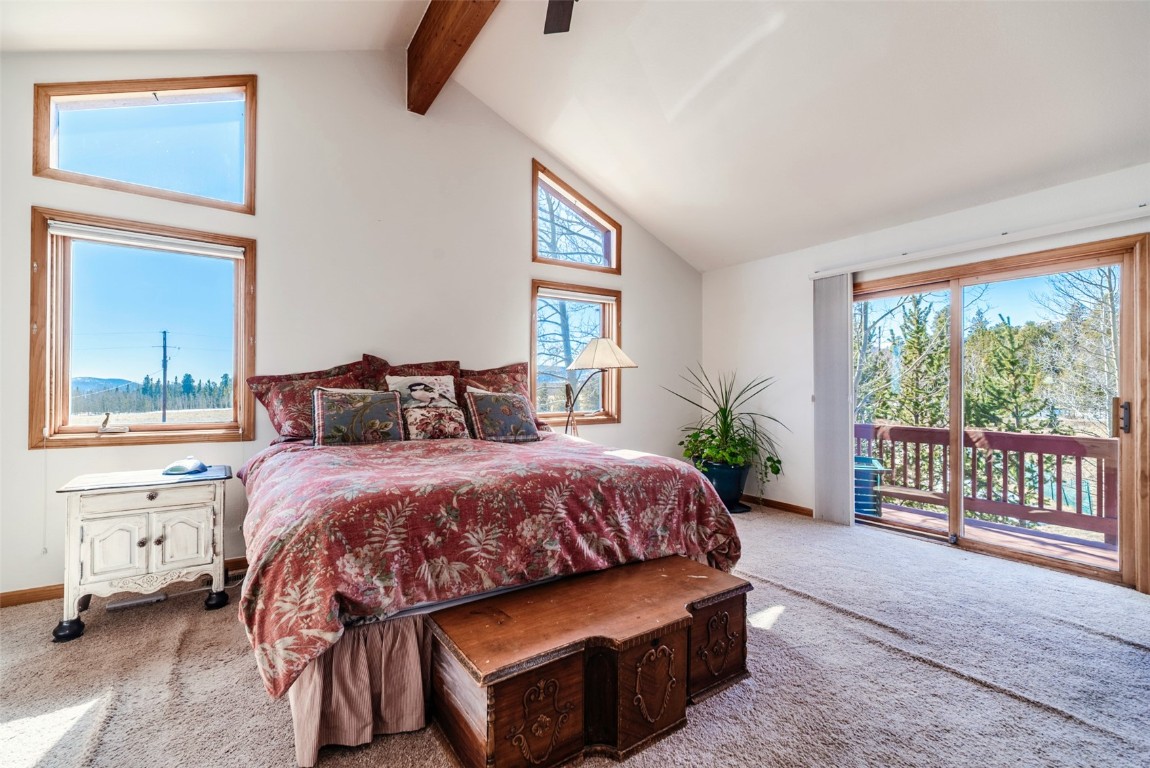 16 Thurber Court Property Photo 17