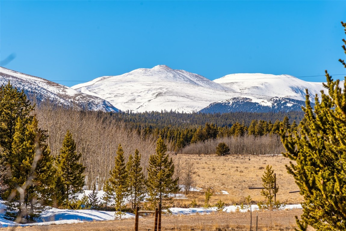 16 Thurber Court Property Photo 31