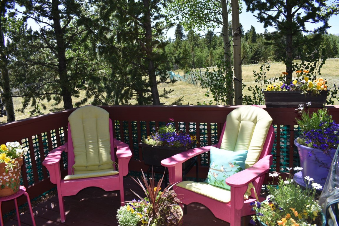 16 Thurber Court Property Photo 32