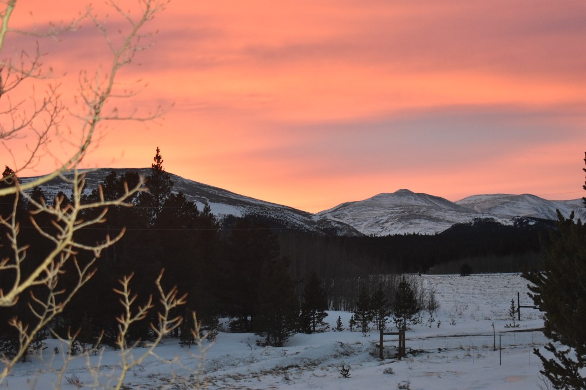 16 Thurber Court Property Photo 33