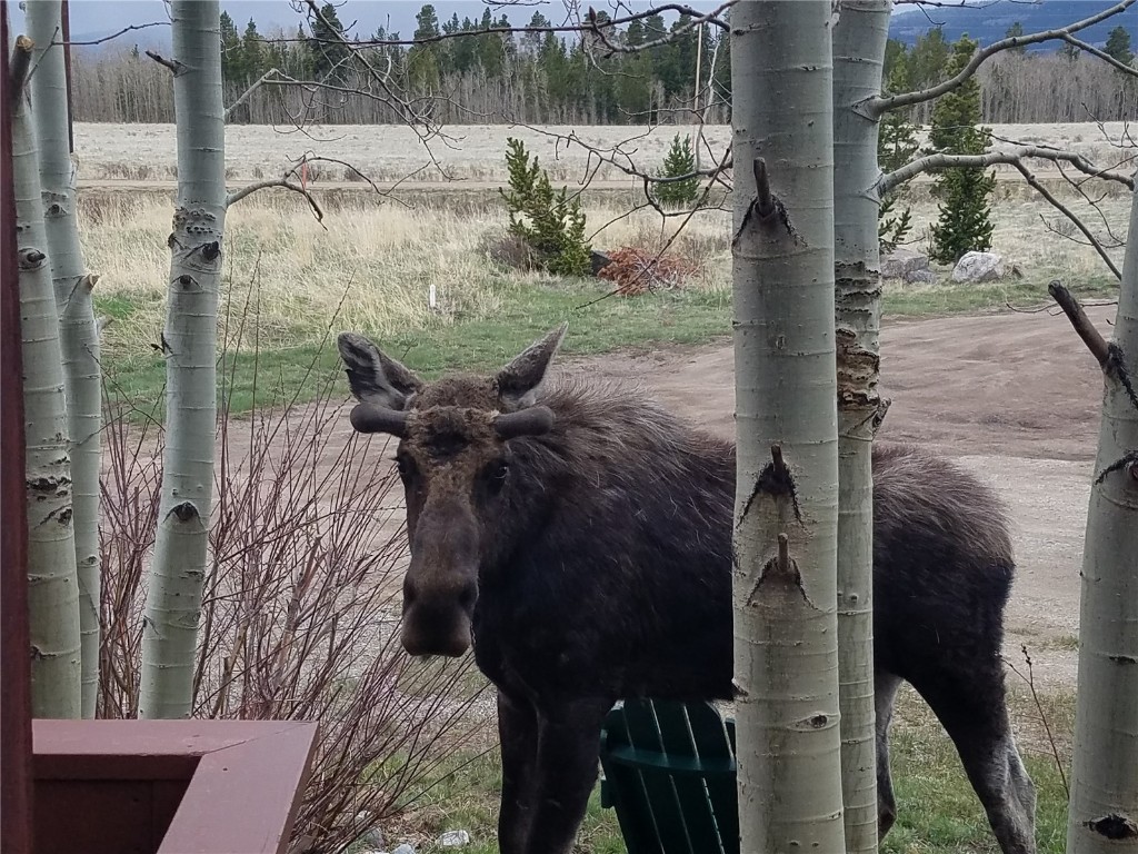 16 Thurber Court Property Photo 34