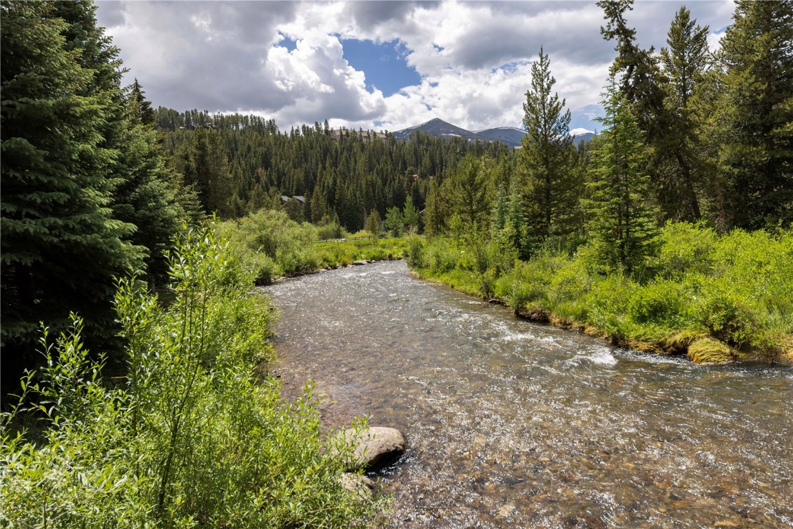 60 Trafalgar Drive Property Photo 44