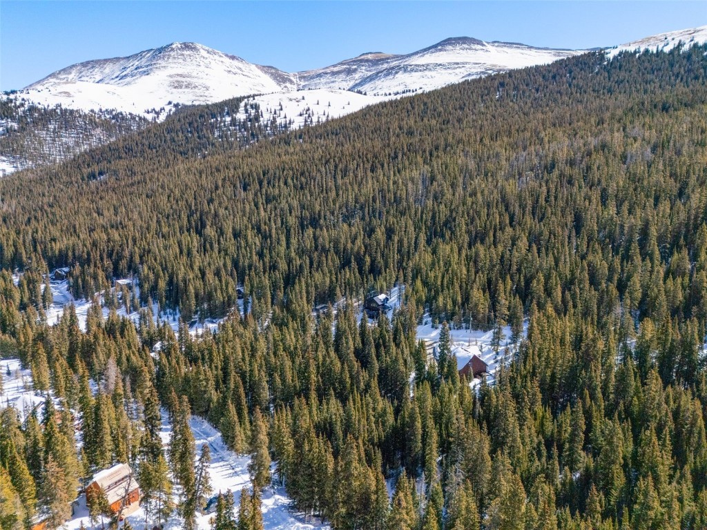 Alpine Breckenridge Sub Real Estate Listings Main Image