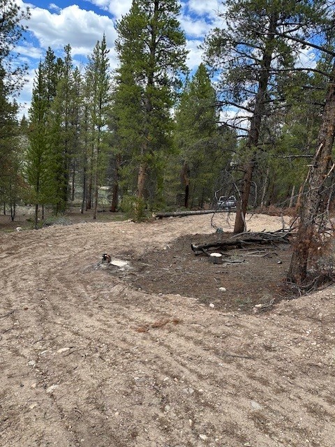 123 Lodgepole Drive Property Photo