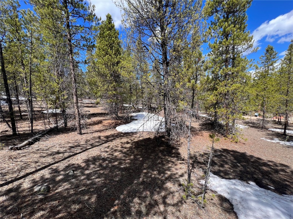 180 Mt Massive Road Property Photo