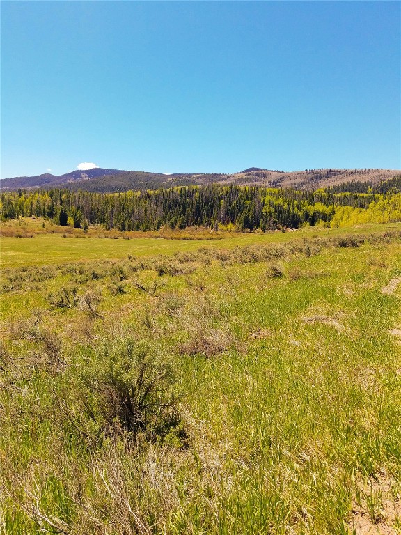 32795 Colt Trail Property Photo