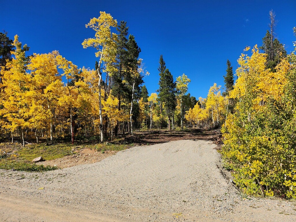 451 Lamb Mountain Road Property Photo