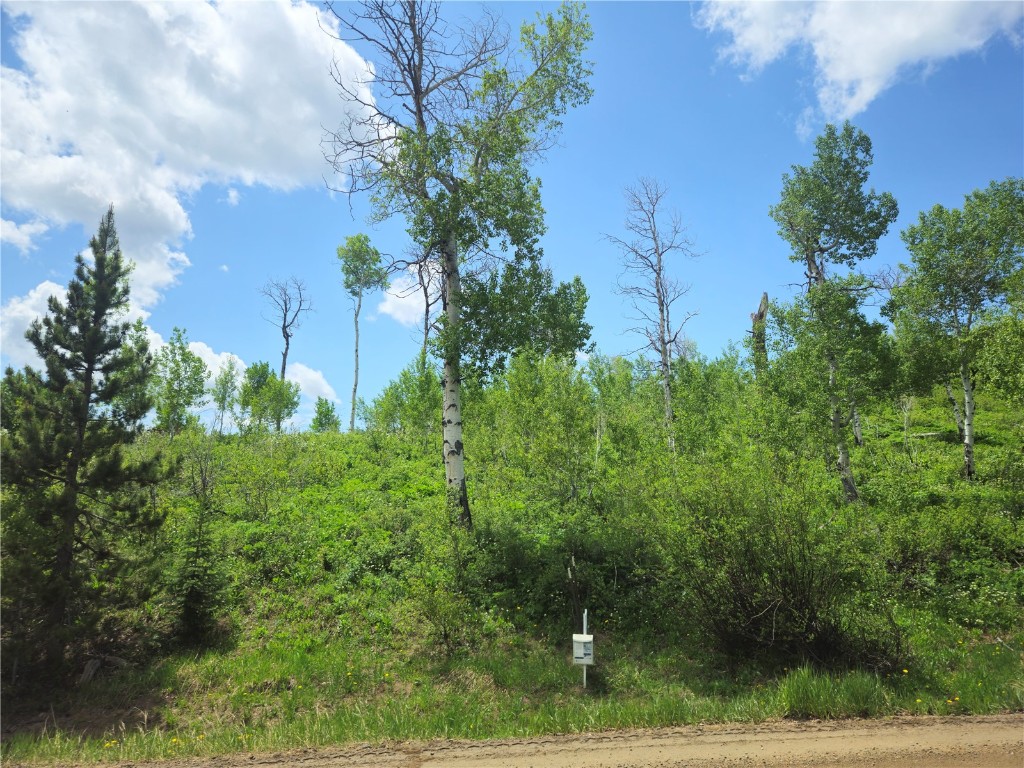 57615 Longfellow Way Property Photo 1