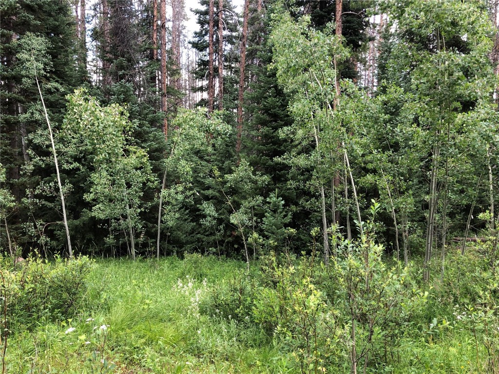 Tbd Springboard Trail Property Photo 1