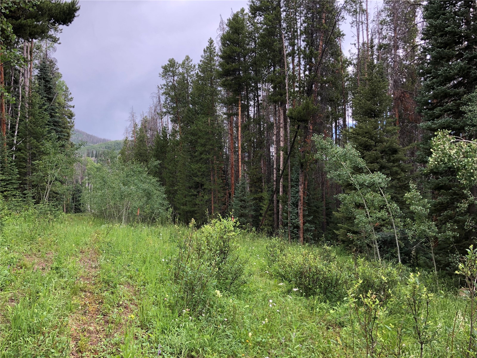 Tbd Springboard Trail Property Photo 1