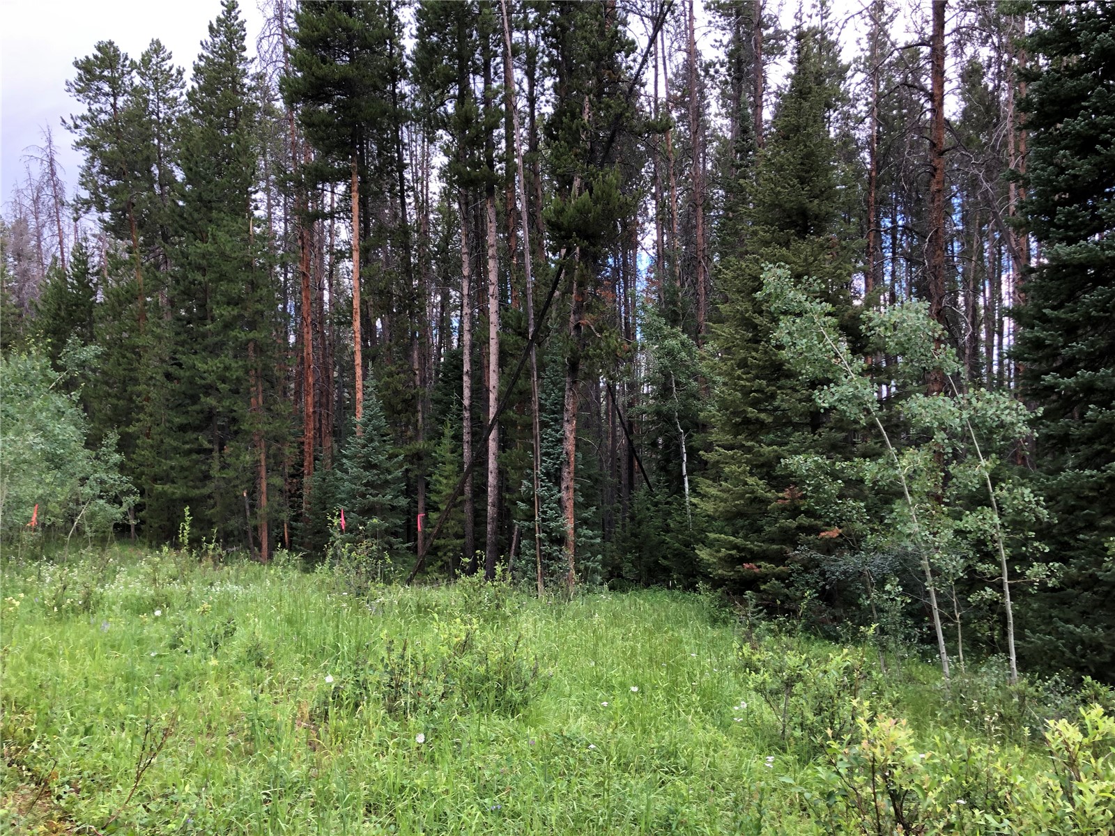 Tbd Springboard Trail Property Photo 2