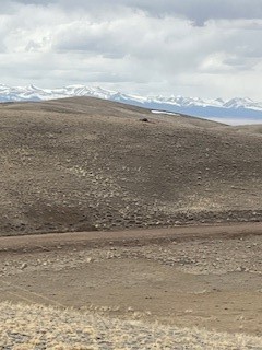 0 Black Beaver Court Property Photo