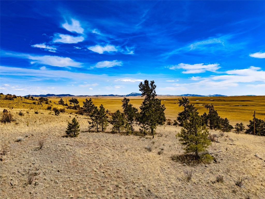 102 Pack Saddle Court Property Photo 1