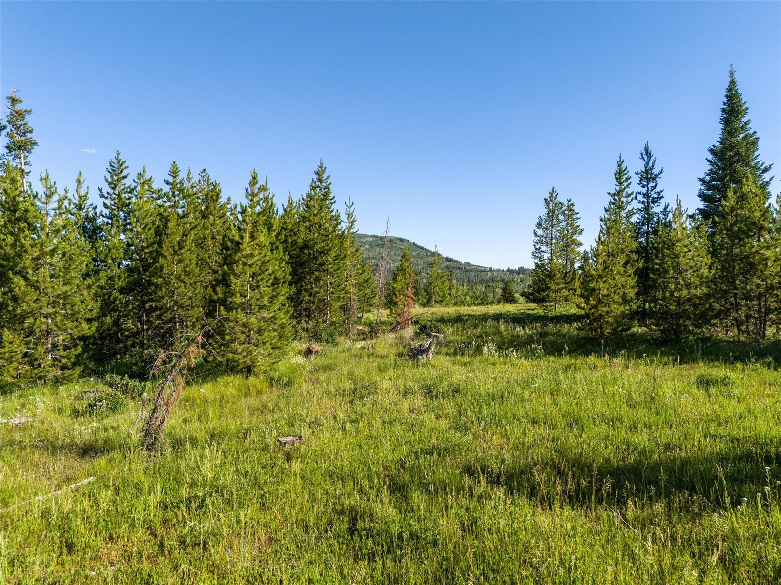 Tbd Pima Way Property Photo 9