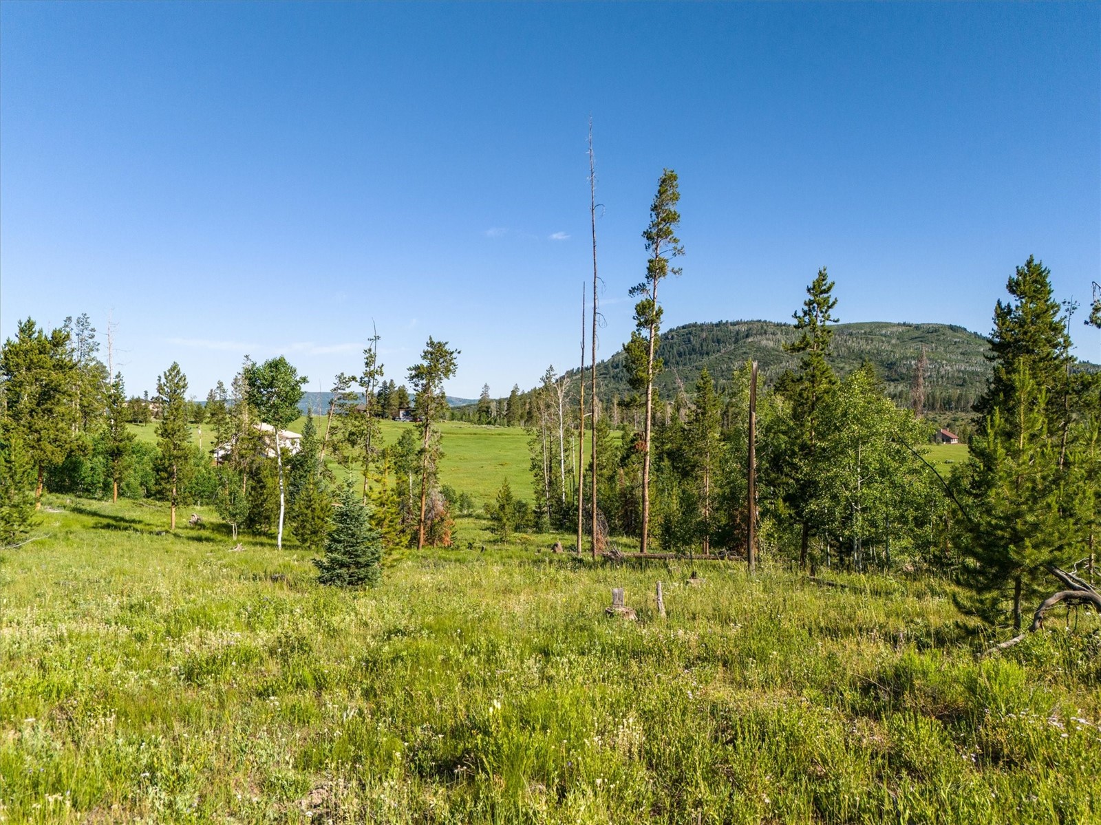 Tbd Pima Way Property Photo 18