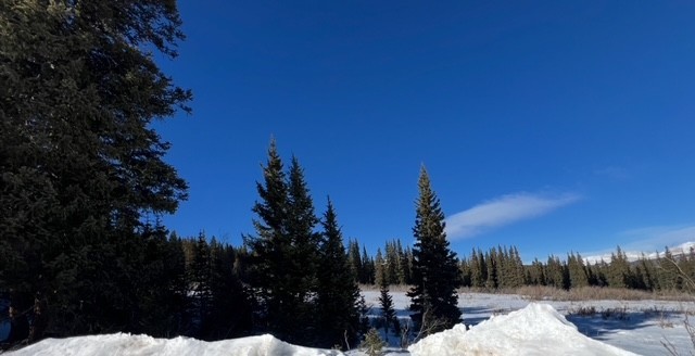 681 El Lobo Lane Property Photo 2