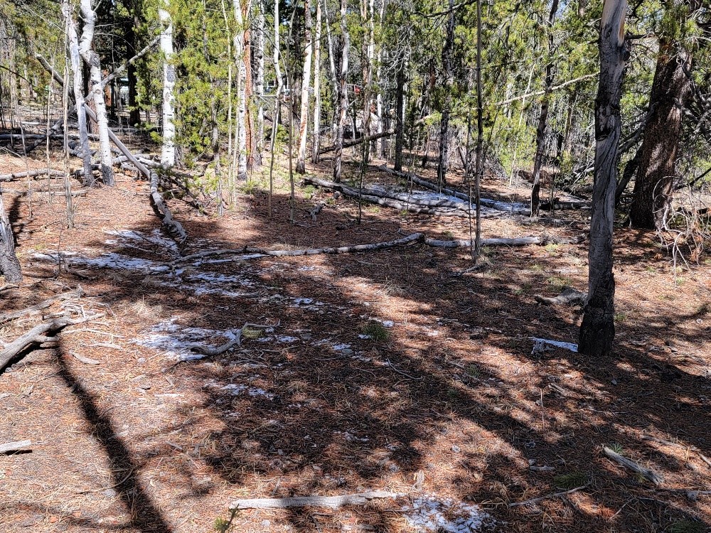 162 Thickspike Road Property Photo 10