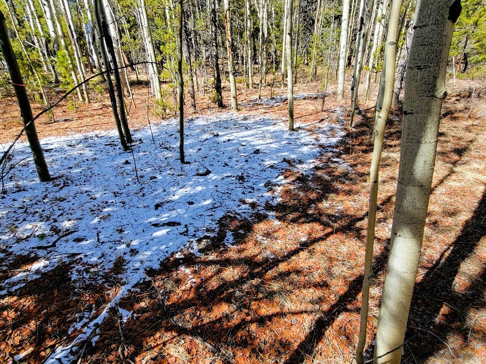 162 Thickspike Road Property Photo 13