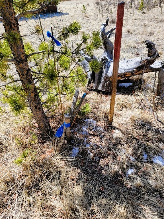 162 Thickspike Road Property Photo 42