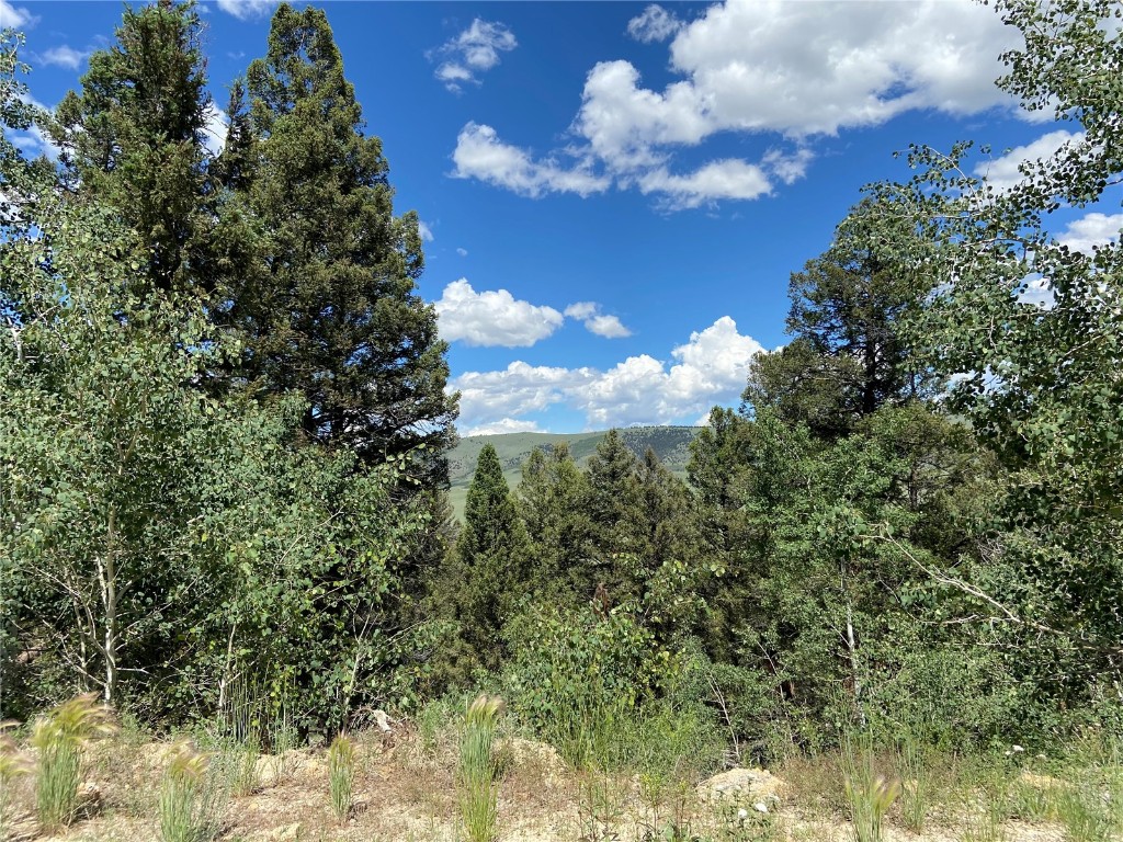 3806 Middle Fork Property Photo 1