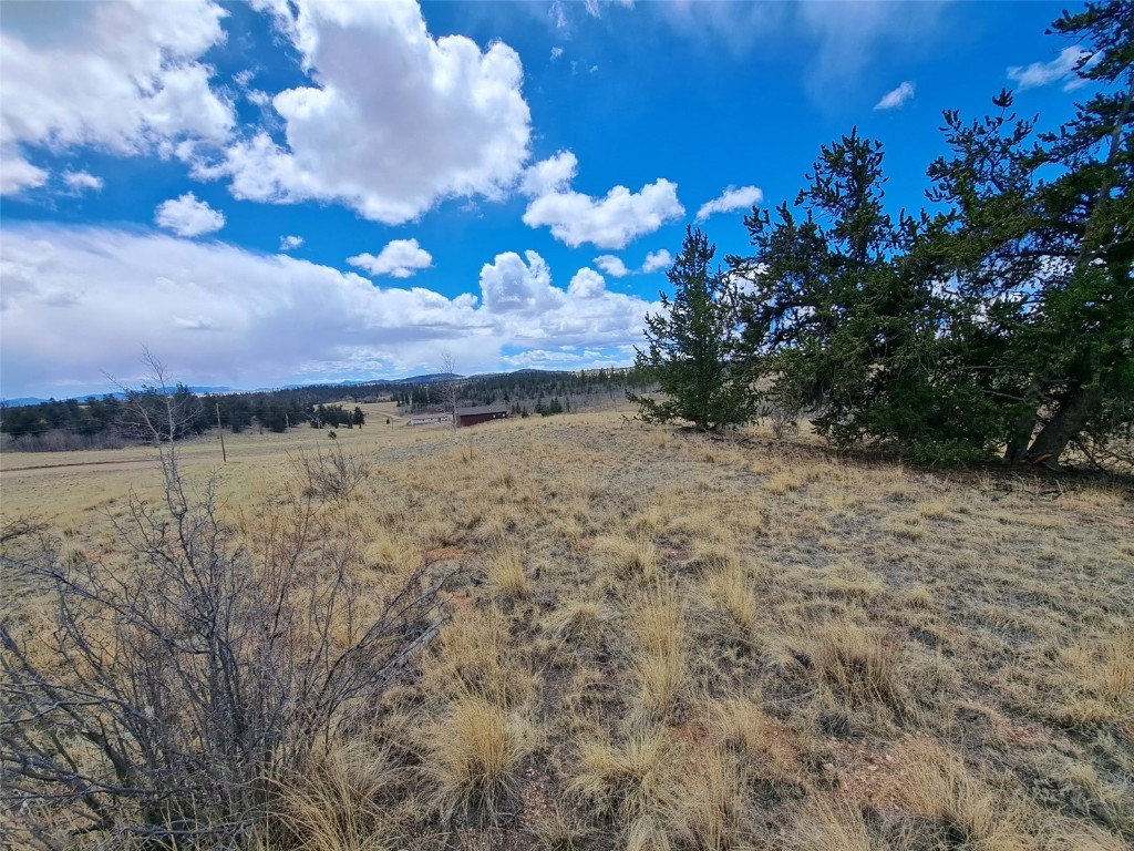 499 Kiowa Street Property Photo 6