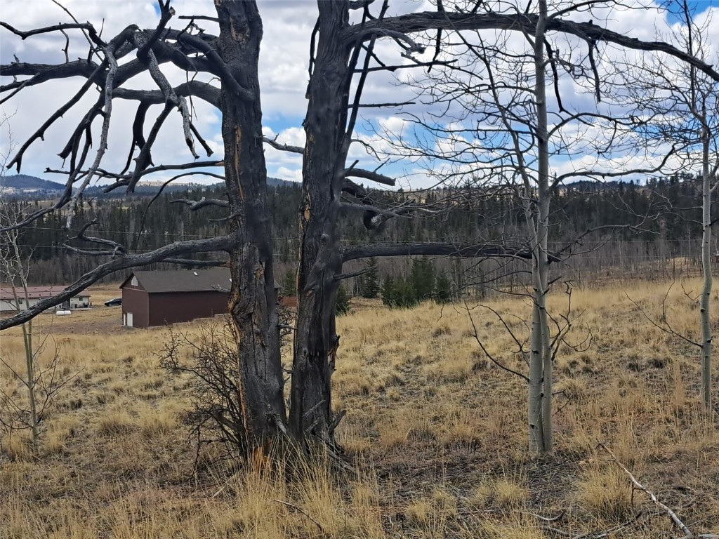 499 Kiowa Street Property Photo 15