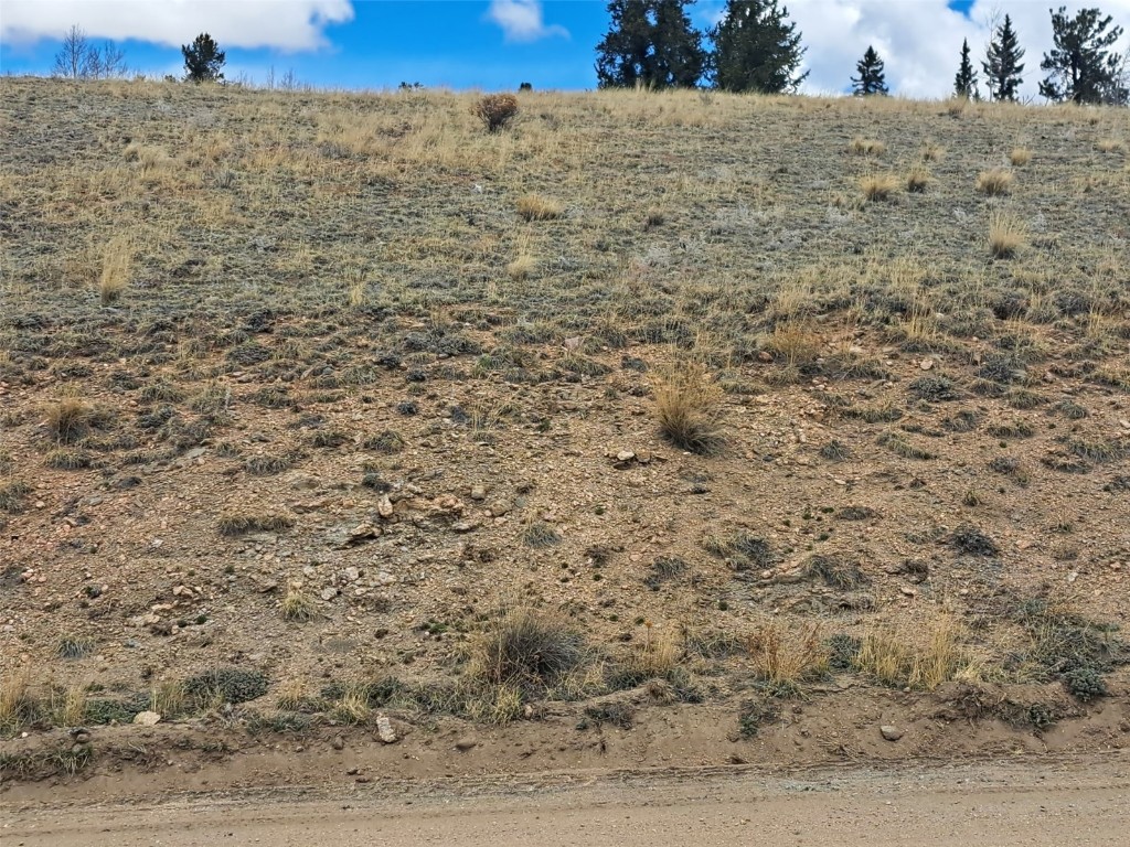 499 Kiowa Street Property Photo 19