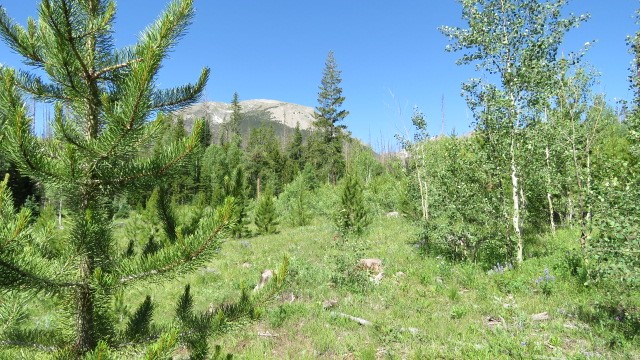 58 Sky Pilot Lane Property Photo 1