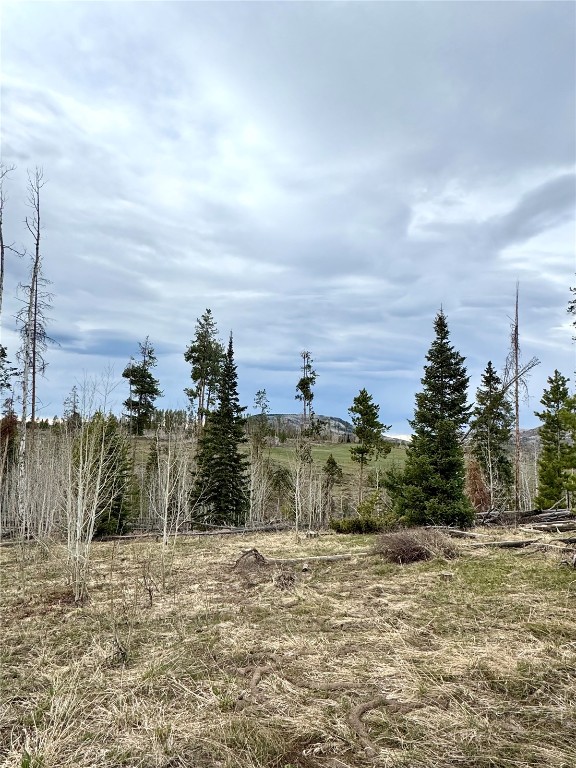 Tbd Rein Way Property Photo 1