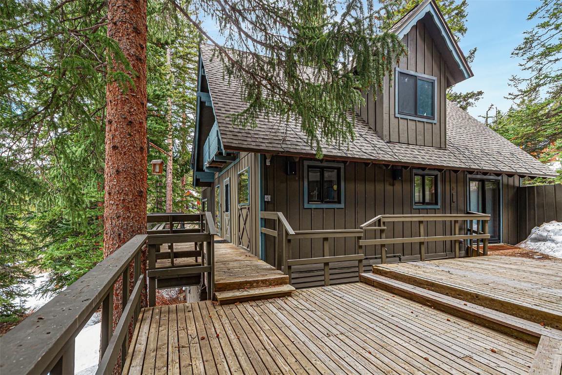 3312 Boreas Pass Road Property Photo 1