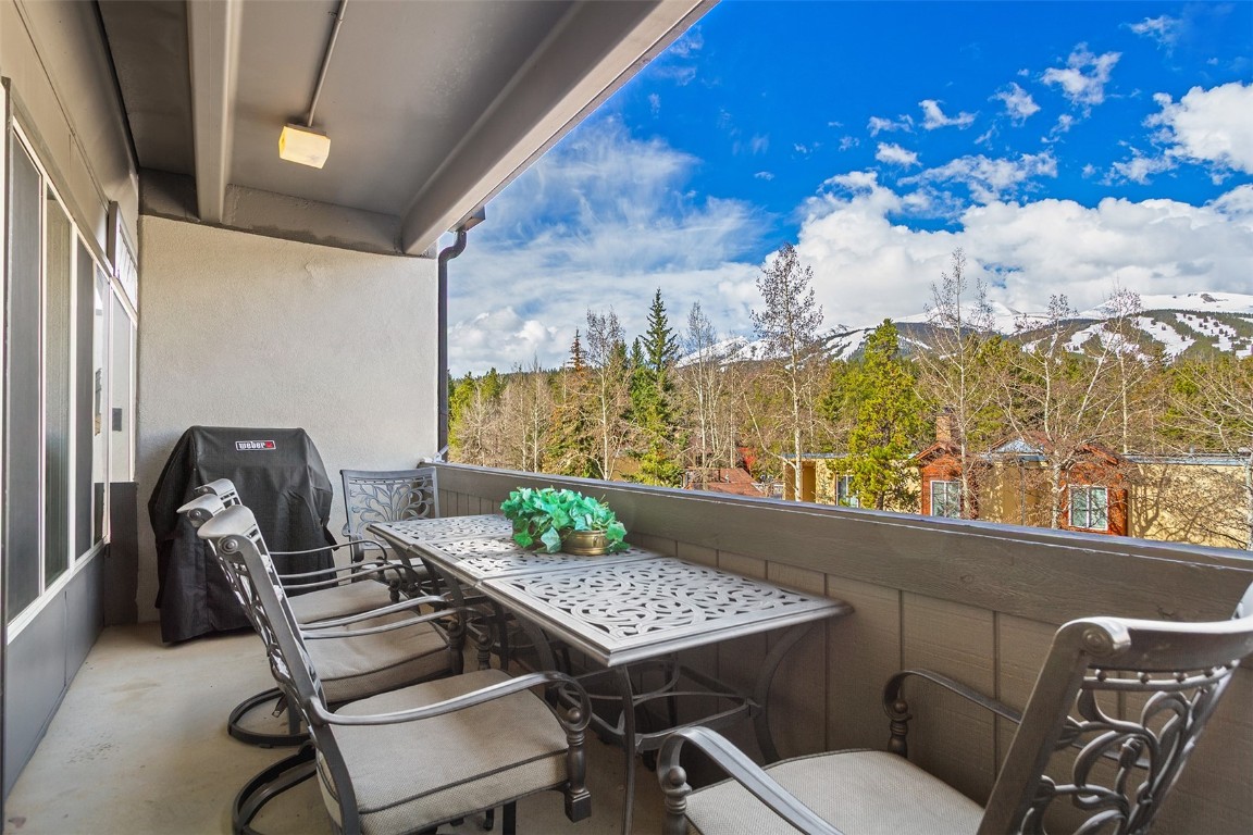 705 Snowberry Lane 303 Property Photo 3