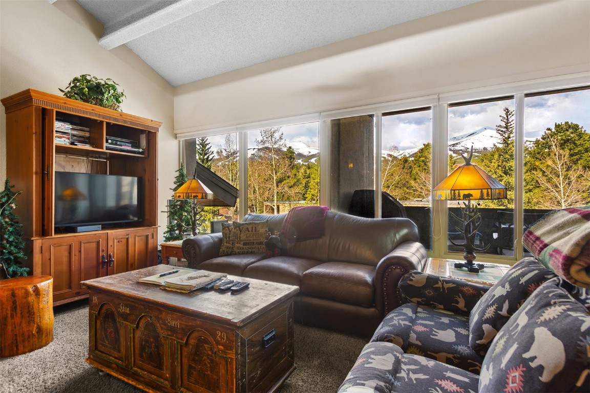 705 Snowberry Lane 303 Property Photo 4