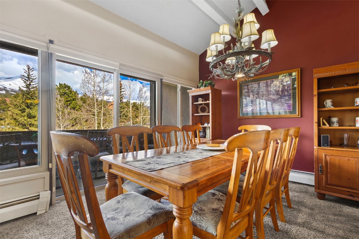 705 Snowberry Lane 303 Property Photo 6