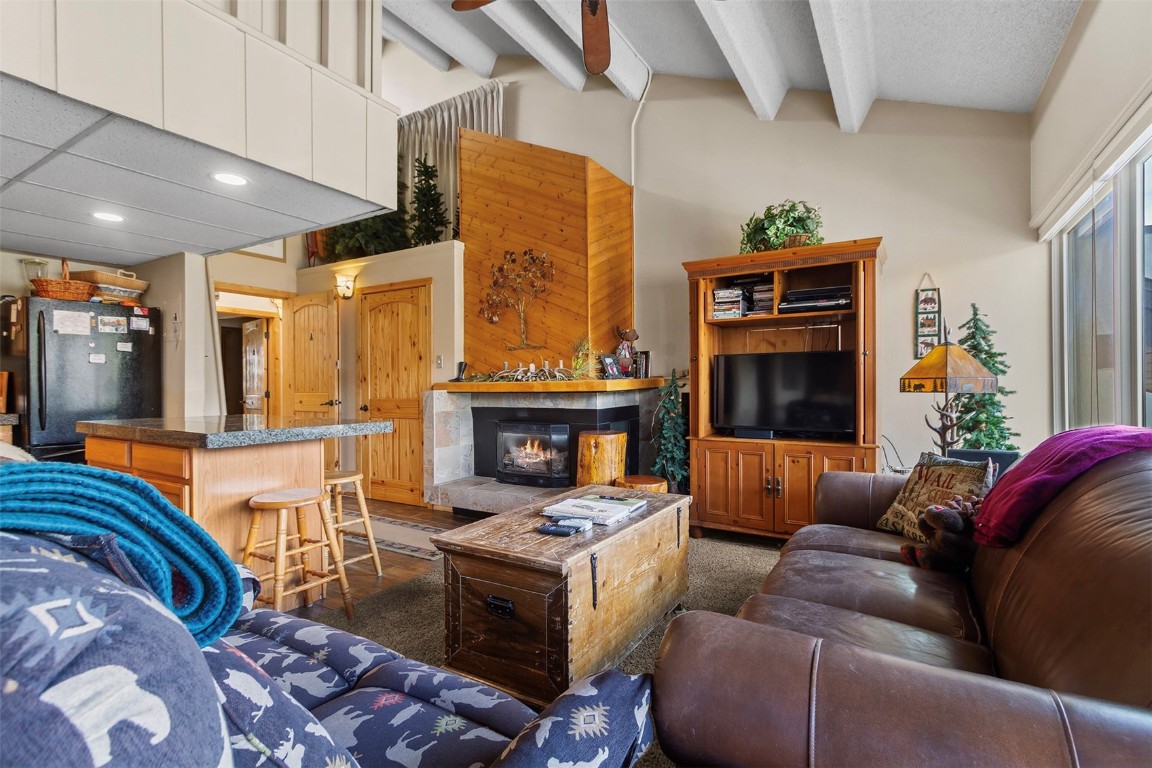 705 Snowberry Lane 303 Property Photo 7