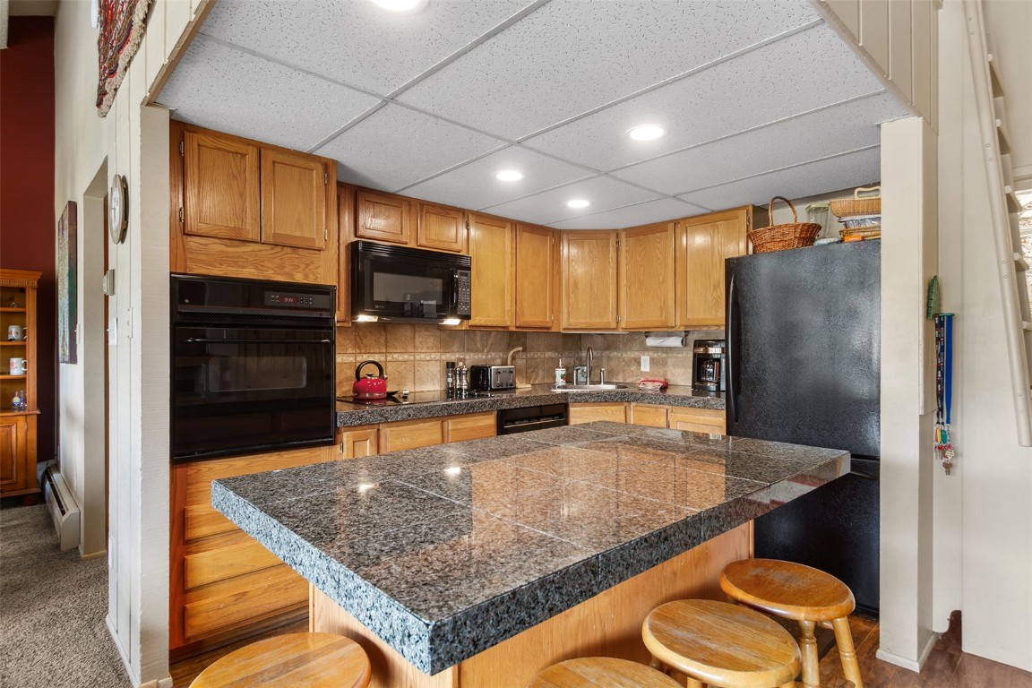 705 Snowberry Lane 303 Property Photo 9