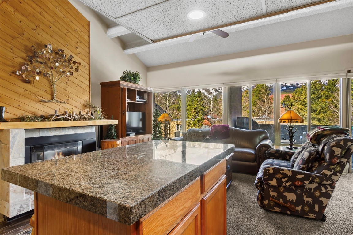 705 Snowberry Lane 303 Property Photo 11