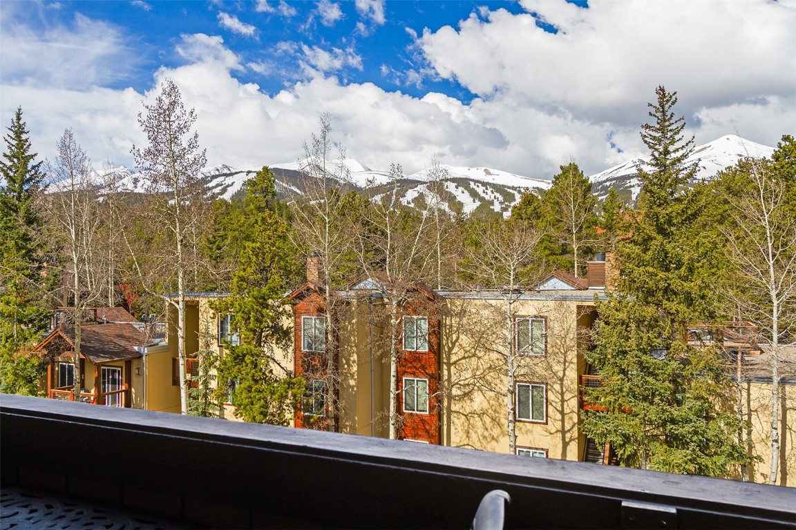 705 Snowberry Lane 303 Property Photo 12