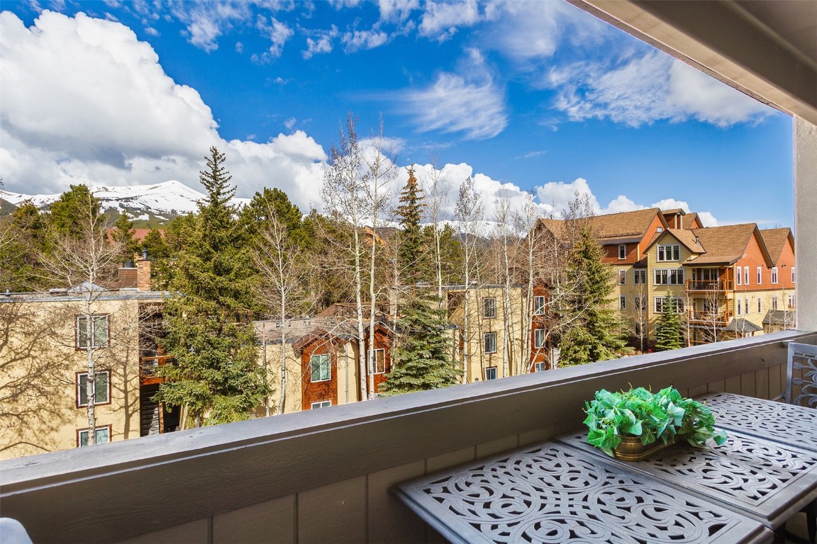 705 Snowberry Lane 303 Property Photo 13