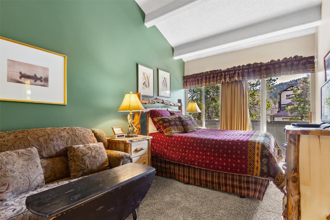 705 Snowberry Lane 303 Property Photo 14