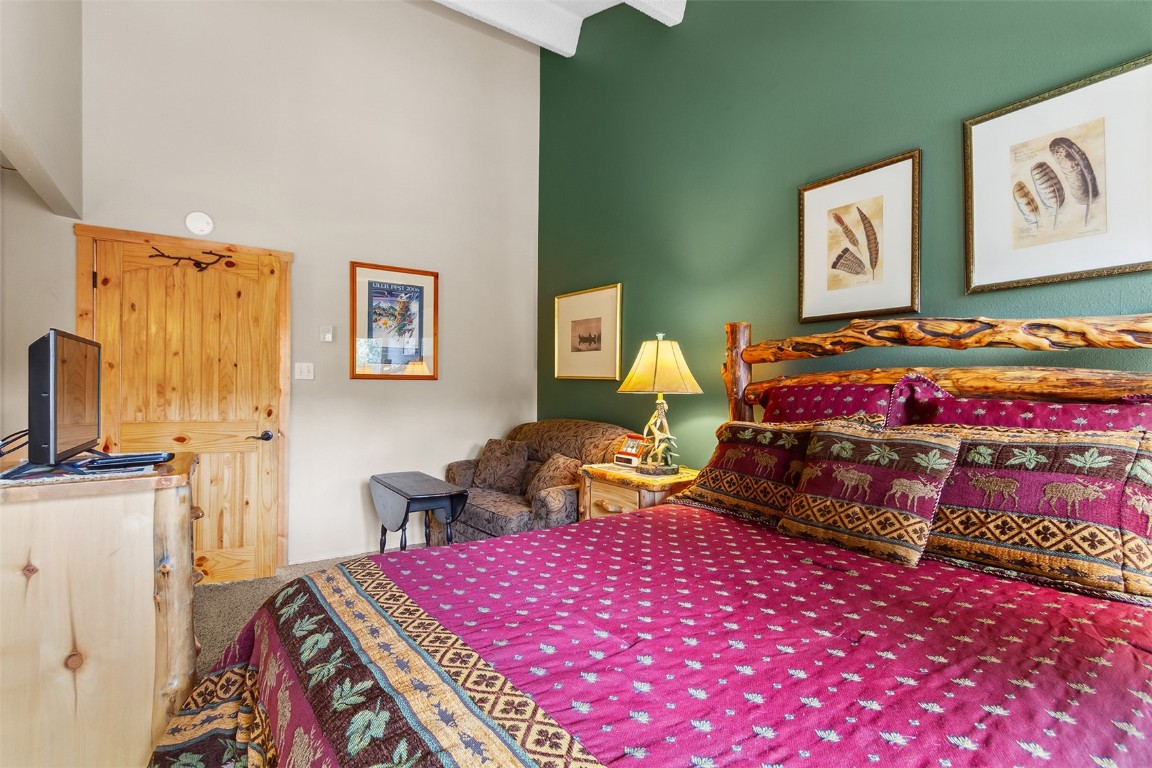 705 Snowberry Lane 303 Property Photo 15