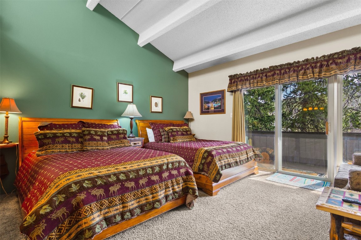 705 Snowberry Lane 303 Property Photo 17