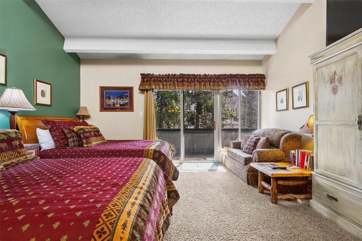 705 Snowberry Lane 303 Property Photo 18