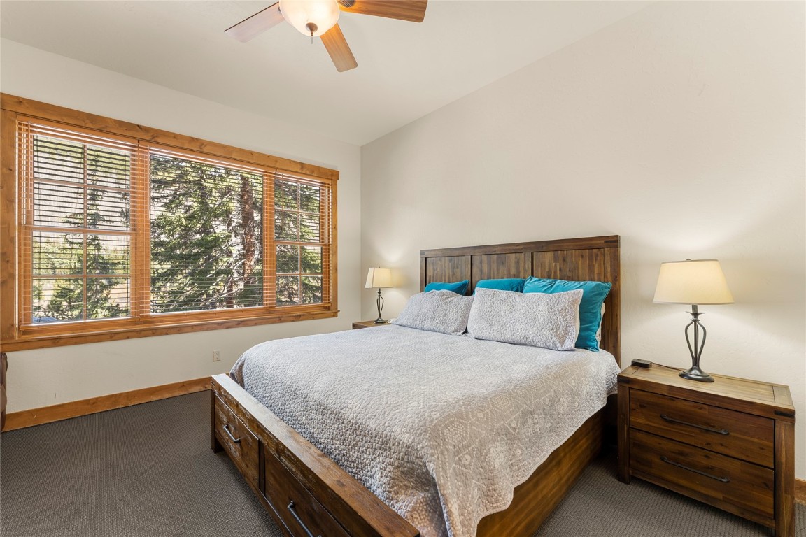 50 Cooney Court Property Photo 39
