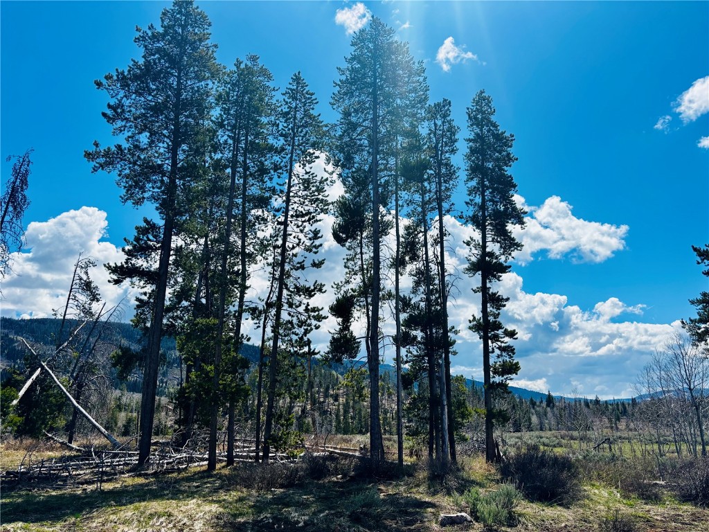 Lot 143 Halter Trail Property Photo 1