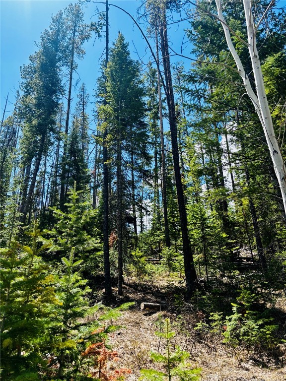 50 Springboard Trail Property Photo 1