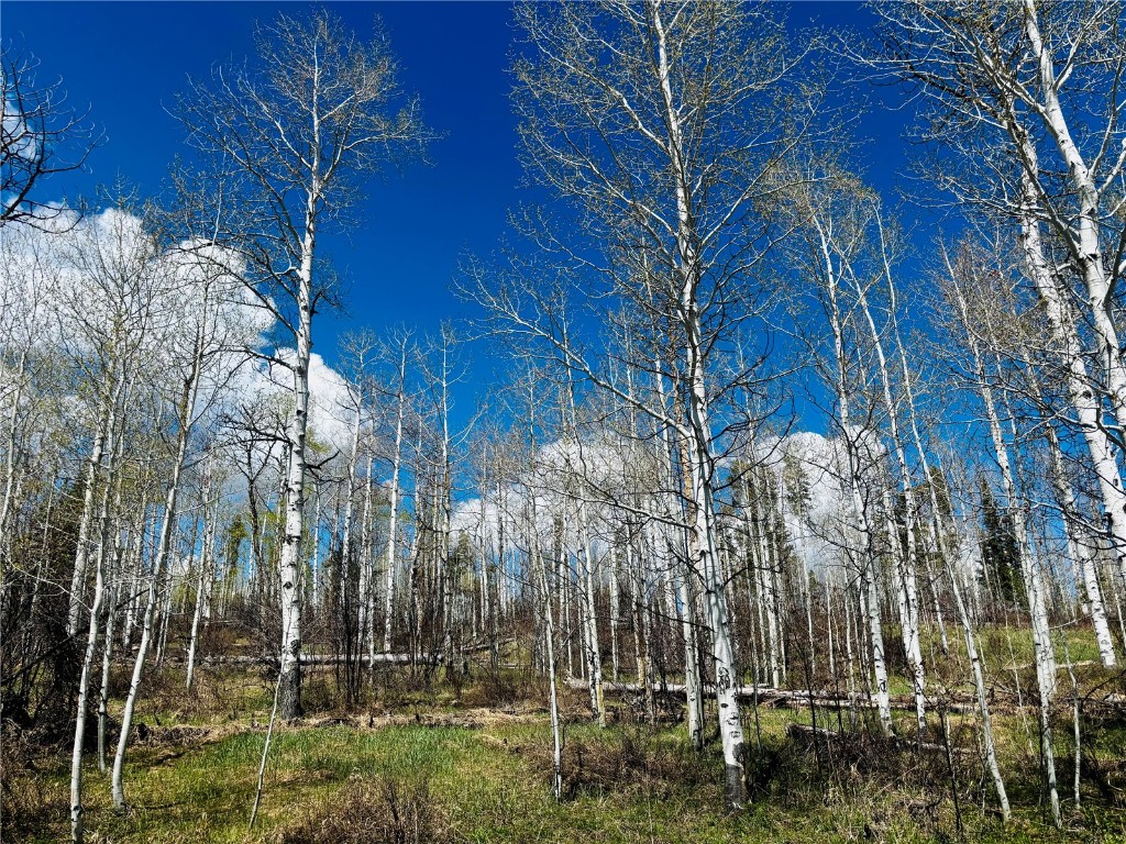Lot 124 Wagon Wheel Trail Property Photo 1