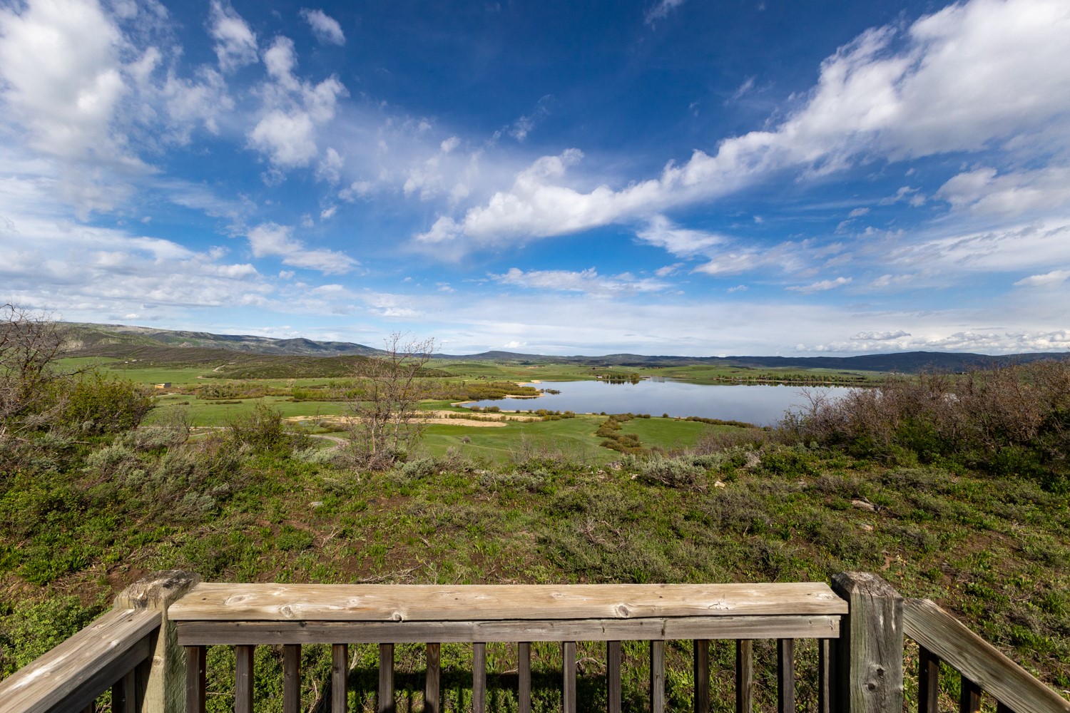 33655 Lone Pine Trail Property Photo 1