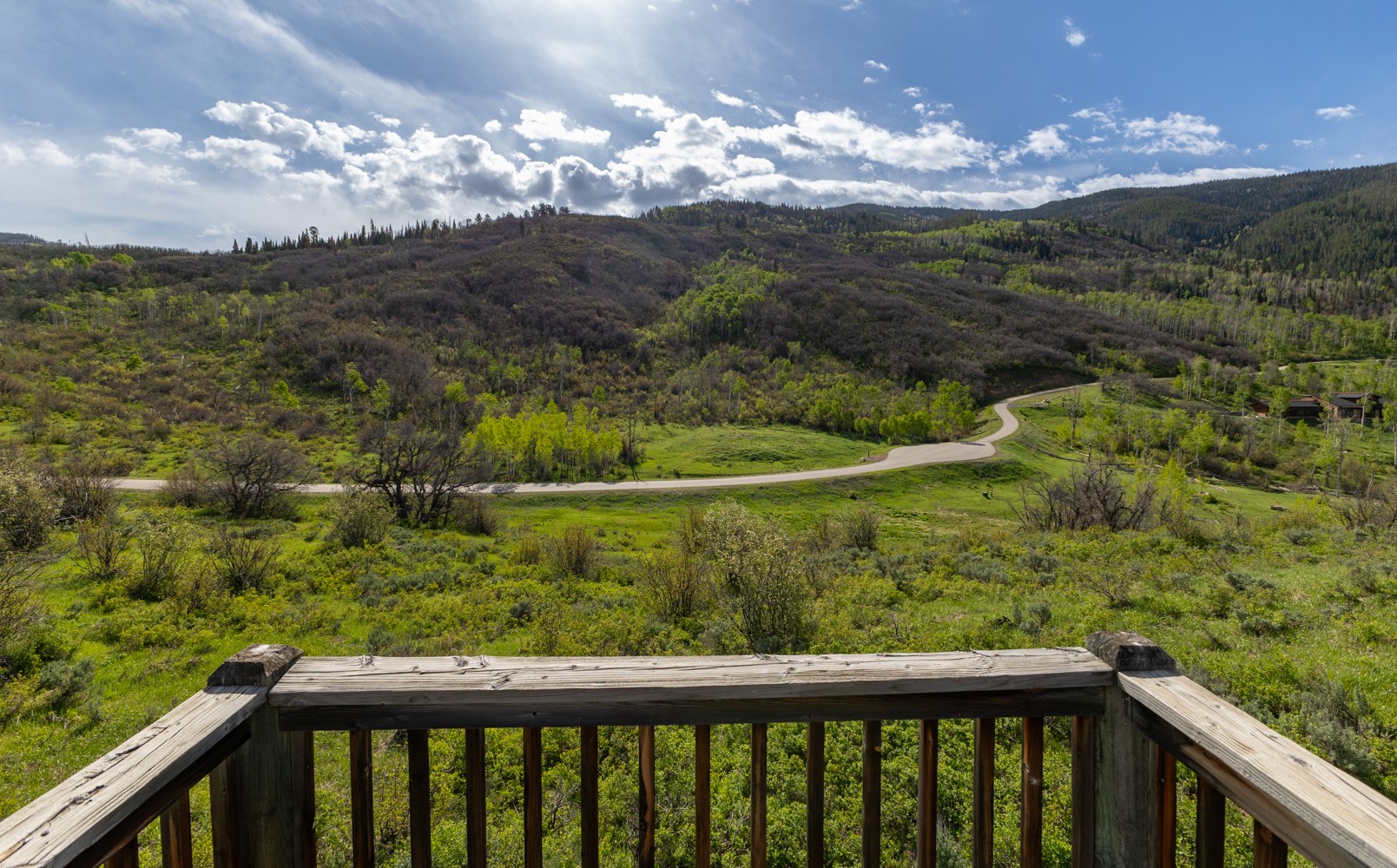 33655 Lone Pine Trail Property Photo 4